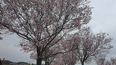 gx010693.mp4_snapshot_00.11_thumb.jpg
