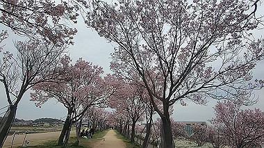 gx010694.mp4_snapshot_00.01_thumb.jpg