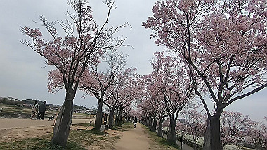 gx010694.mp4_snapshot_00.32_thumb.jpg