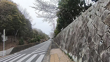 gx010695.mp4_snapshot_00.09_thumb.jpg
