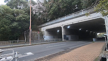 gx010695.mp4_snapshot_00.15_thumb.jpg