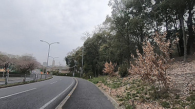 gx010695.mp4_snapshot_00.53_thumb.jpg