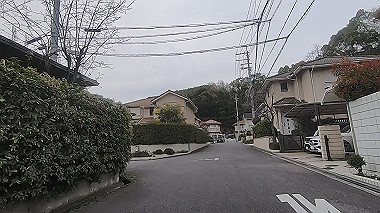 gx010695.mp4_snapshot_01.18_thumb.jpg