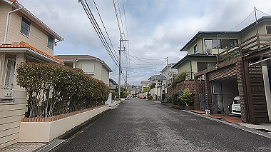 gx010696.mp4_snapshot_00.10_thumb.jpg
