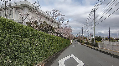 gx010697.mp4_snapshot_00.02_thumb.jpg