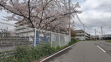 gx010698.mp4_snapshot_00.22_thumb.jpg