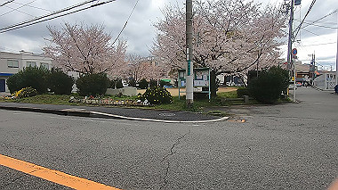 gx010707.mp4_snapshot_00.48_thumb.jpg