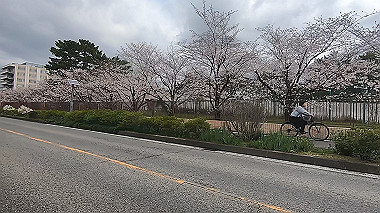gx010709.mp4_snapshot_00.12_thumb.jpg