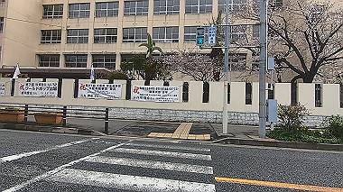 gx010710.mp4_snapshot_00.29_thumb.jpg