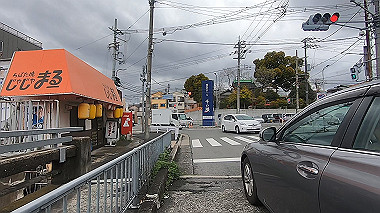 gx010711.mp4_snapshot_00.02_thumb.jpg
