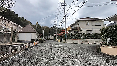 gx010718.mp4_snapshot_00.14_thumb.jpg