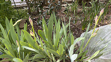 2024-04-07_09-59-08_313_thumb.jpg