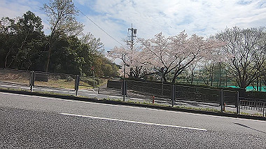gx010721.mp4_snapshot_00.04_thumb.jpg