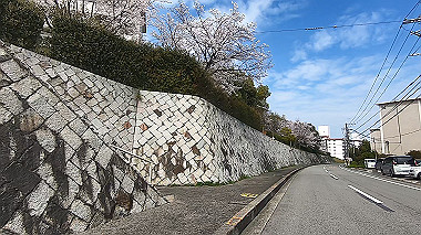 gx010722.mp4_snapshot_00.48_thumb.jpg