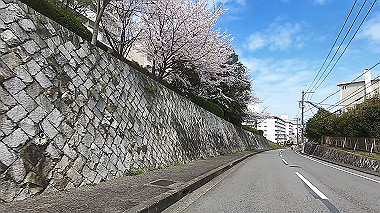 gx010722.mp4_snapshot_00.56_thumb.jpg