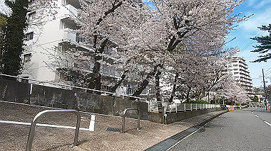 gx010722.mp4_snapshot_01.16_thumb.jpg