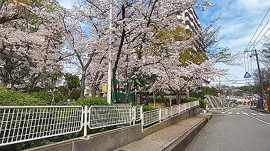 gx010722.mp4_snapshot_01.24_thumb.jpg
