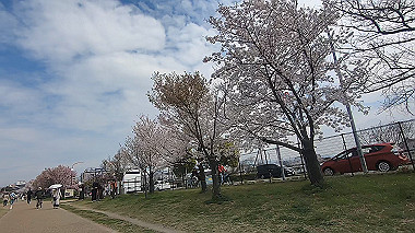 gx010724.mp4_snapshot_00.41_thumb.jpg