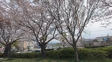 gx010724.mp4_snapshot_01.02_thumb.jpg