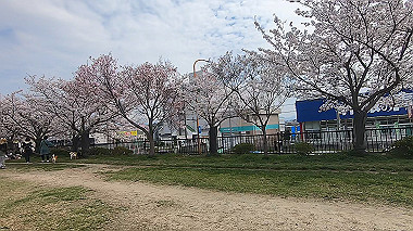 gx010724.mp4_snapshot_01.35_thumb.jpg