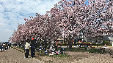 gx010725.mp4_snapshot_00.20_thumb.jpg