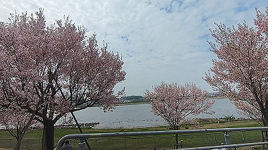 gx010726.mp4_snapshot_00.08_thumb.jpg