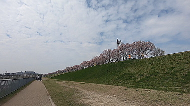 gx010728.mp4_snapshot_00.04_thumb.jpg