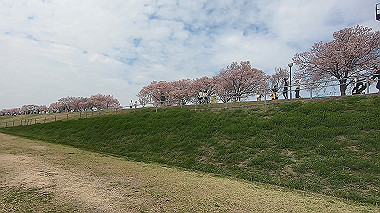 gx010728.mp4_snapshot_00.16_thumb.jpg