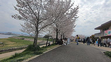gx010728.mp4_snapshot_03.17_thumb.jpg