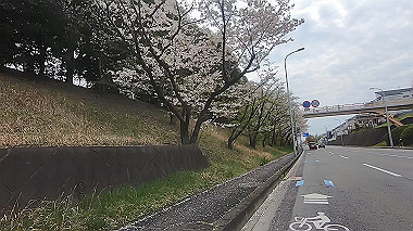gx010733.mp4_snapshot_00.23_thumb.jpg