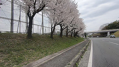 gx010740.mp4_snapshot_00.01_thumb.jpg