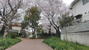 gx010743.mp4_snapshot_00.29_thumb.jpg