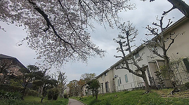 gx010743.mp4_snapshot_00.39_thumb.jpg