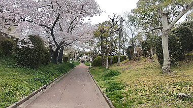 gx010743.mp4_snapshot_01.00_thumb.jpg