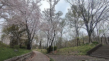 gx010743.mp4_snapshot_02.41_thumb.jpg