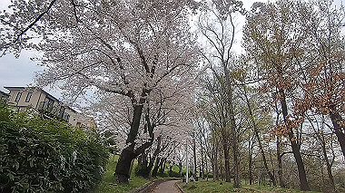 gx010743.mp4_snapshot_03.00_thumb.jpg