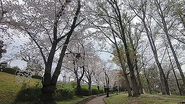 gx010743.mp4_snapshot_03.11_thumb.jpg