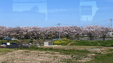 2024-04-12_09-25-44_828_thumb.jpg
