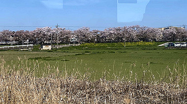 2024-04-12_09-26-24_730_thumb.jpg