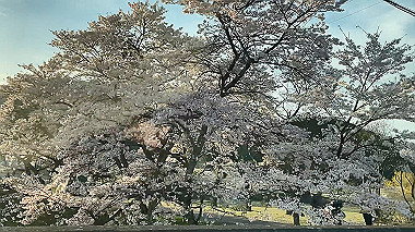 2024-04-12_17-27-40_000_x264.mp4_snapshot_00.13_thumb.jpg