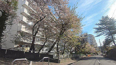 gx010746.mp4_snapshot_00.39_thumb.jpg