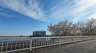 gx010747.mp4_snapshot_00.38_thumb.jpg