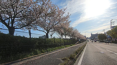 gx010747.mp4_snapshot_00.54_thumb.jpg