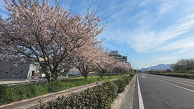 gx010749.mp4_snapshot_03.25_thumb.jpg
