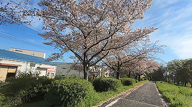 gx010750.mp4_snapshot_00.22_thumb.jpg