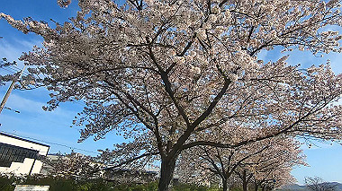 gx010751.mp4_snapshot_00.19_thumb.jpg