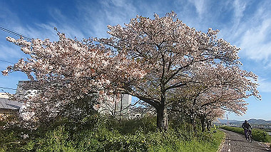gx010751.mp4_snapshot_00.44_thumb.jpg