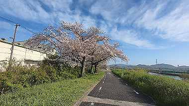 gx010751.mp4_snapshot_00.55_thumb.jpg