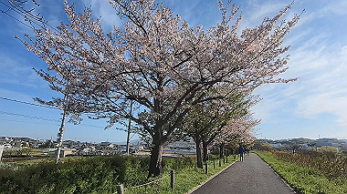 gx010754.mp4_snapshot_00.03_thumb.jpg