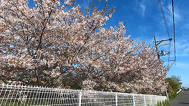 gx010755.mp4_snapshot_00.00_thumb.jpg